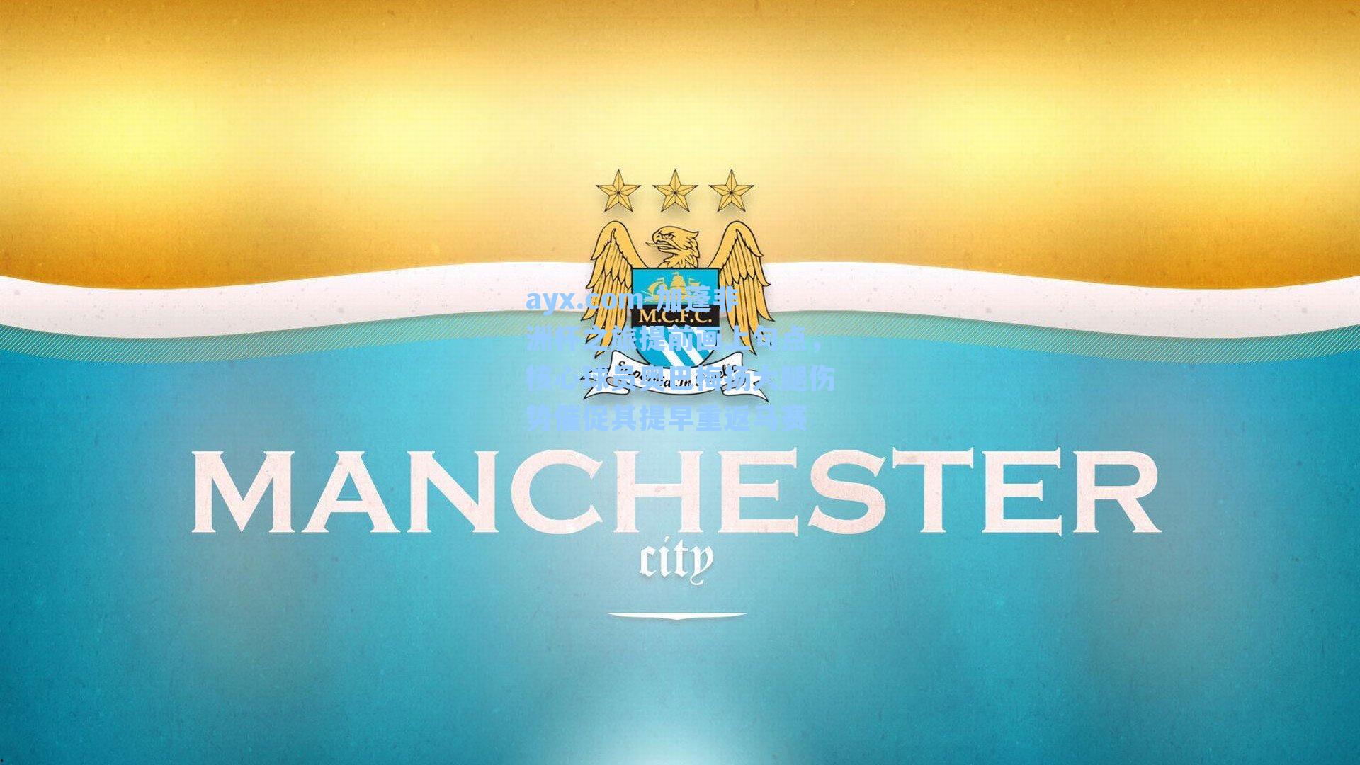 加蓬非洲杯之旅提前画上句点，核心球员奥巴梅扬大腿伤势催促其提早重返马赛