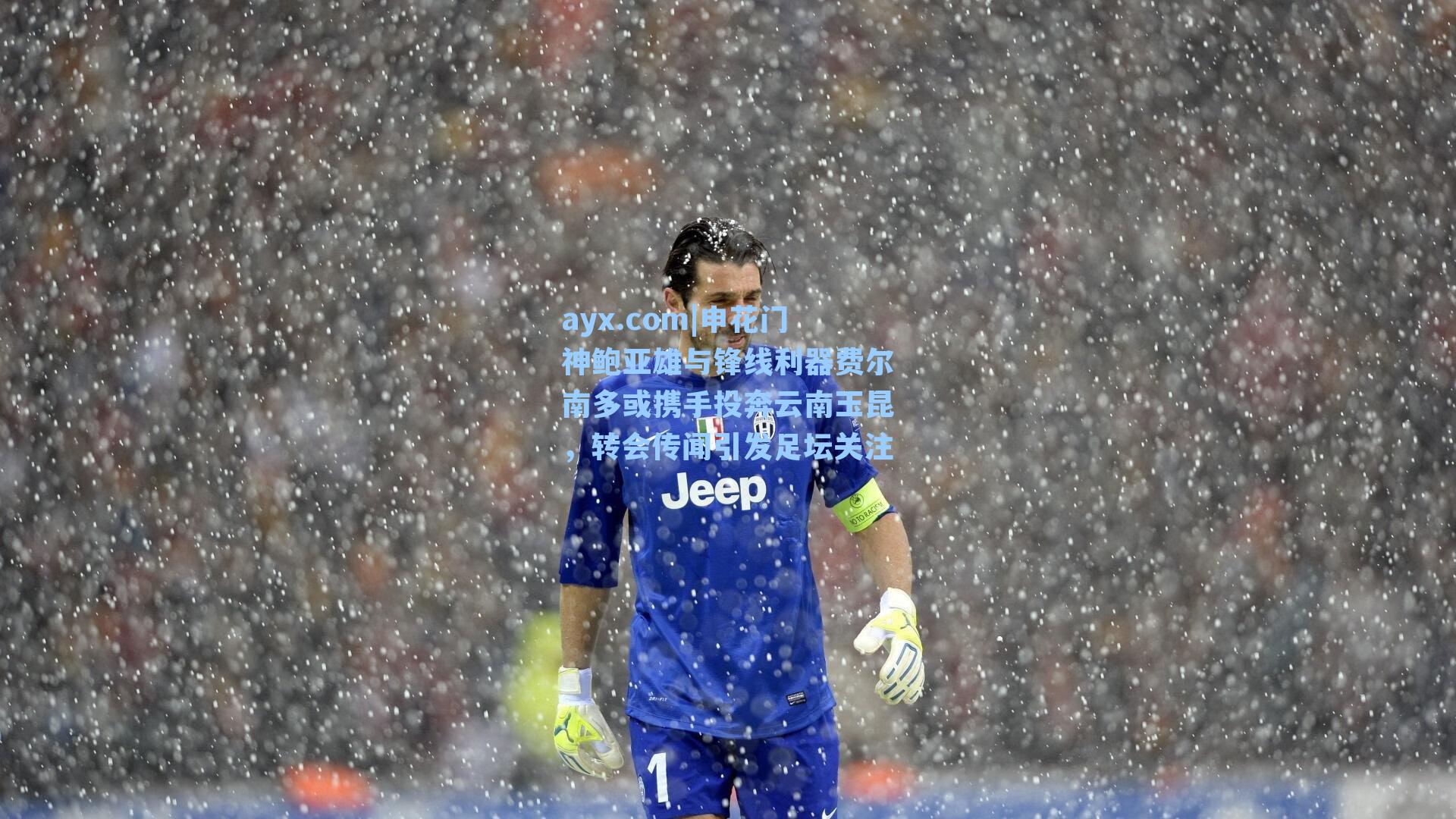ayx.com|申花门神鲍亚雄与锋线利器费尔南多或携手投奔云南玉昆，转会传闻引发足坛关注